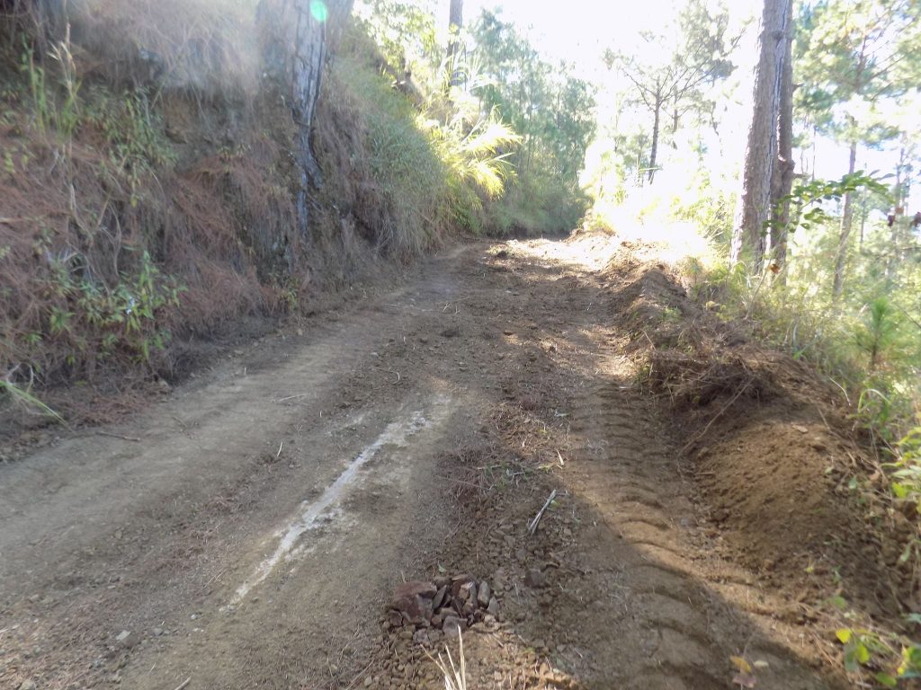 Road Clearing of Several FMR in Bokod, Benguet 1