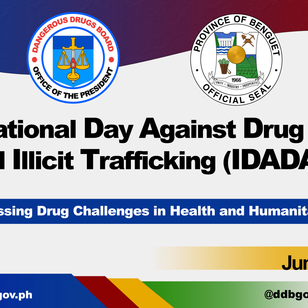 IDADAIT_Banner_for_Other_Agencies (1)