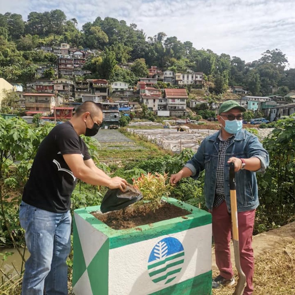 Tree-Planting-Activity-at-the-Strawberry-Farm-La-Trinidad-1