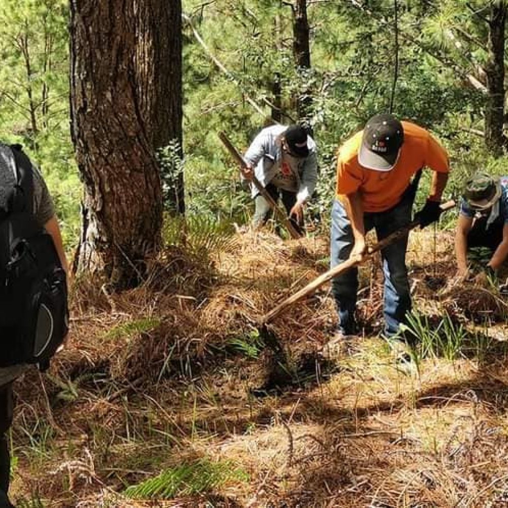 Tree-Planting-in-Allitang-Communal-Forest-in-Sagpat-Kibungan-Benguet-5